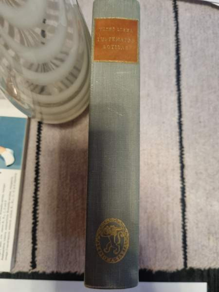 Tuntematon sotilas Helsinki - valokuva 3