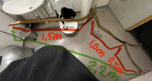 Raapimapuu kissalle Oulu - valokuva 2