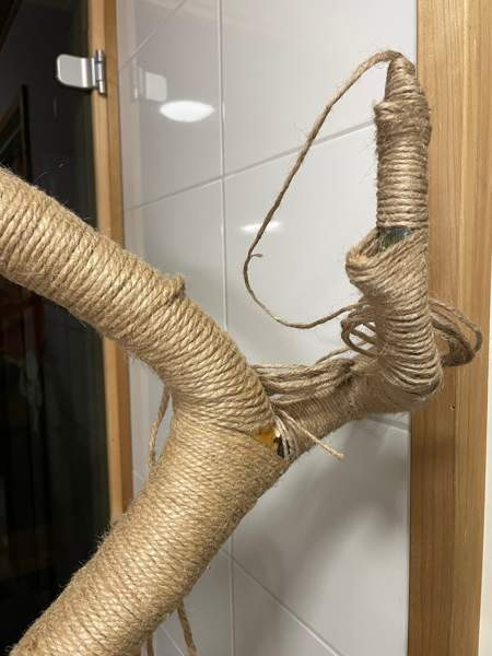 Raapimapuu kissalle Oulu - valokuva 3