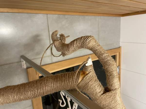 Raapimapuu kissalle Oulu - valokuva 5