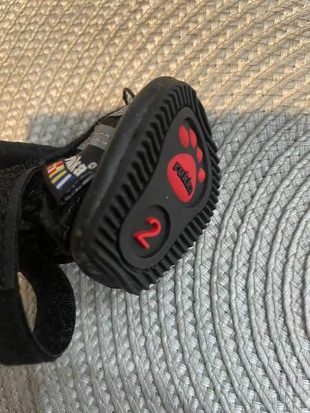 Pienen koiran Rukka tossut Hämeenlinna - valokuva 4