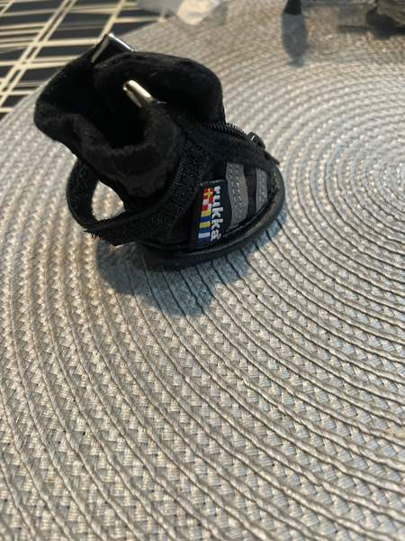 Pienen koiran Rukka tossut Hämeenlinna - valokuva 2