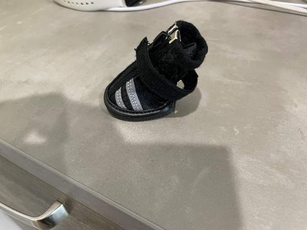 Pienen koiran Rukka tossut Hämeenlinna - valokuva 1