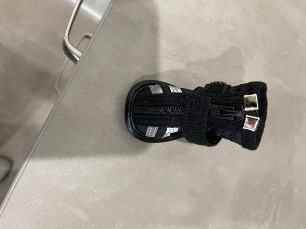 Pienen koiran Rukka tossut Hämeenlinna - valokuva 5