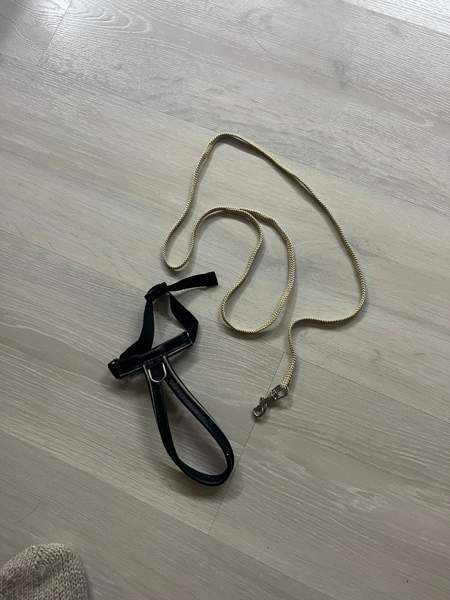 Kissan valjaat ja talutushihna Tuusula - photo 1