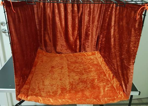 Kissanäyttelyverhot oranssi Vantaa - valokuva 3