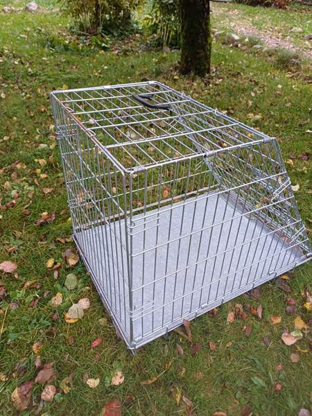 Koirahäkki autoon Vantaa - valokuva 2