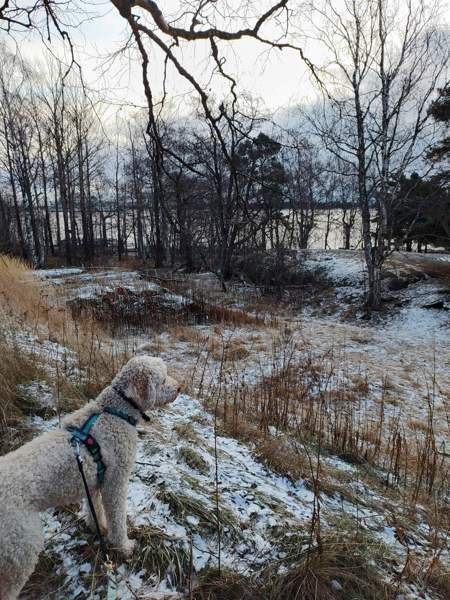 Rukka S-koon valjaat Helsinki - photo 3