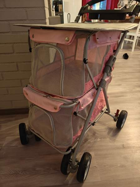 Koiran näyttely pöytärattaat Tornio - valokuva 1