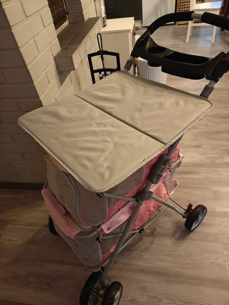 Koiran näyttely pöytärattaat Tornio - valokuva 3