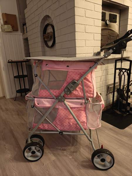 Koiran näyttely pöytärattaat Tornio - valokuva 2