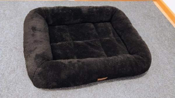 Showmaster koiran patja Valkeakoski - photo 1