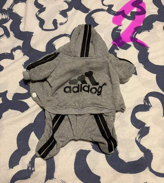 Pienen koiran puvut Riihimaeki - photo 2