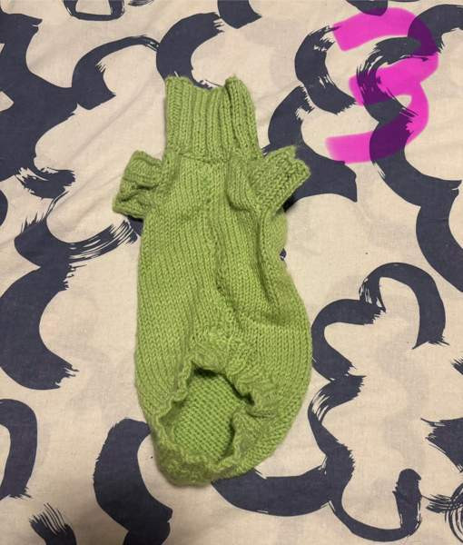 Pienen koiran puvut Riihimaeki - photo 3