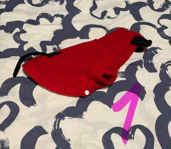 Pienen koiran puvut Riihimaeki - photo 1