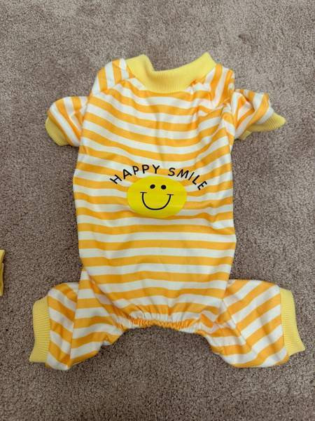 Koiran tai kissan asu Heinola - photo 3