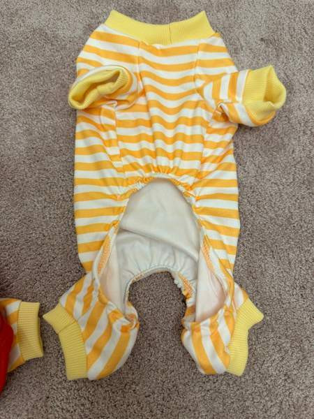 Koiran tai kissan asu Heinola - photo 4