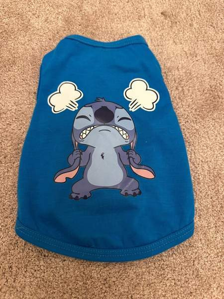 Koiran tai kissan asu Heinola - valokuva 1