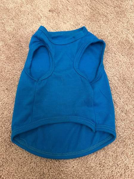 Koiran tai kissan asu Heinola - valokuva 2