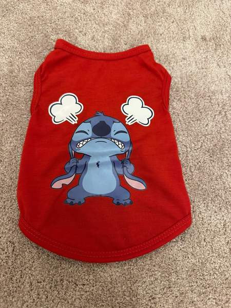 Koiran tai kissan asu Heinola - photo 1