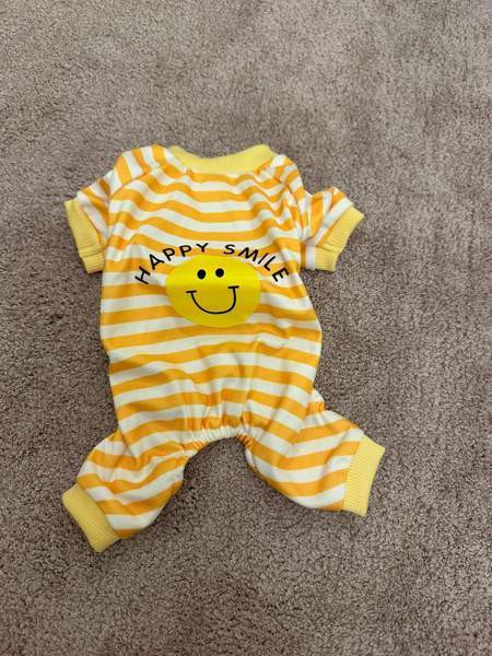 Koiran tai kissan asu Heinola - valokuva 1