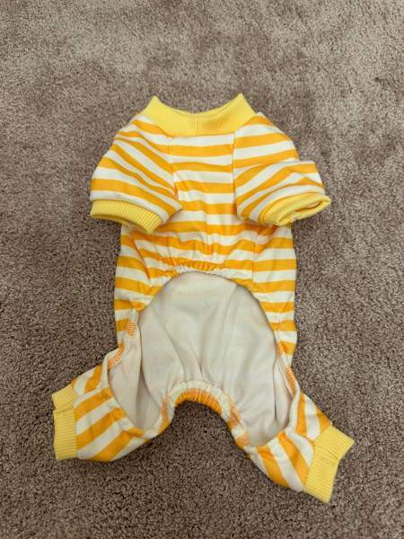 Koiran tai kissan asu Heinola - valokuva 2