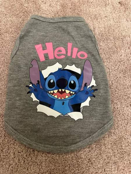 Koiran tai kissan asu Heinola - valokuva 1