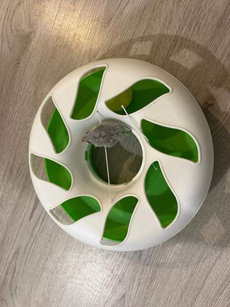 Kissanlelu. Cat crazy circle Helsinki - photo 1