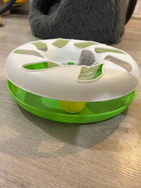 Kissanlelu. Cat crazy circle Helsinki - photo 2