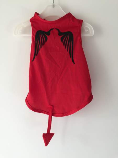 Pienelle koiralle, puku Hyvinge - photo 1