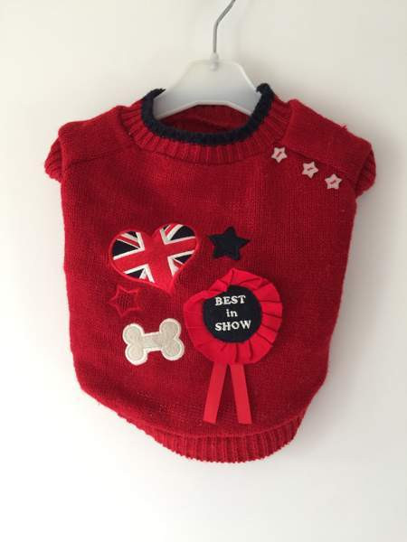 Neulepusero pienelle koiralle Hyvinge – foto 1