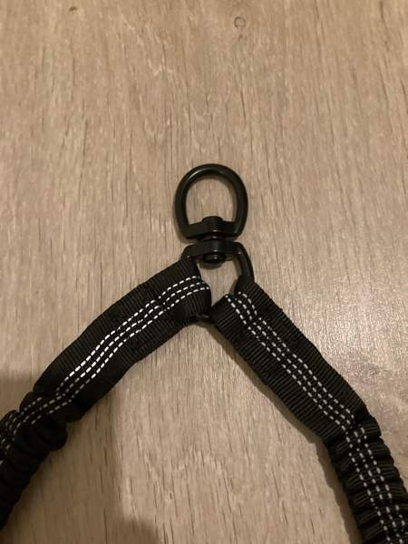 Koiran remmin jakaja Rovaniemi – foto 4