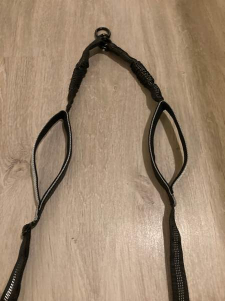 Koiran remmin jakaja Rovaniemi – foto 2