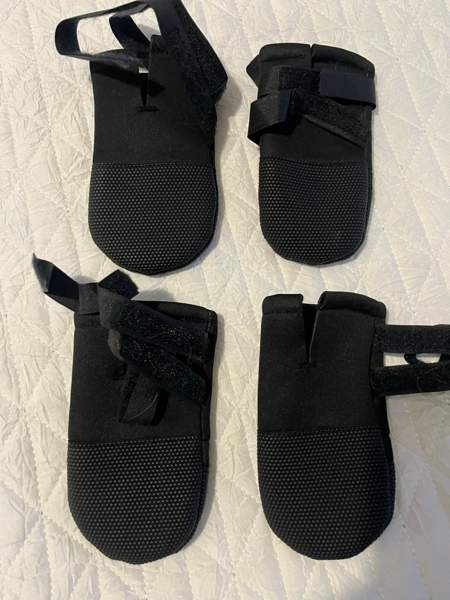 Koiran suojatossut 2 kpl / Trixie Walker neopreenitossut Espoo - photo 2