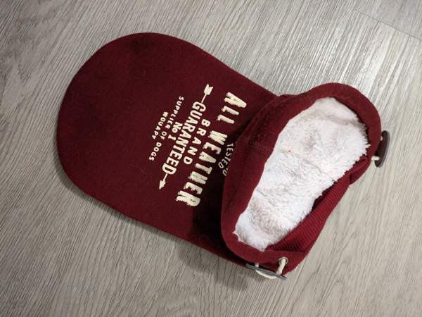 Pienen koiran collegehuppari Хювинкяя - изображение 1