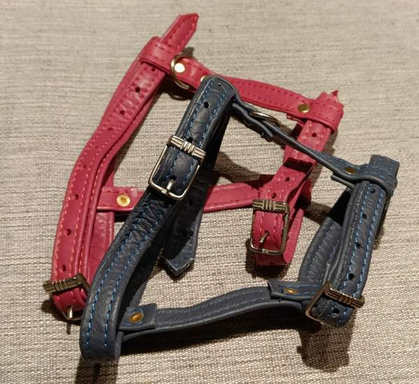 Nahkaiset kissanvaljaat Eura - photo 1