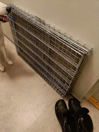 Häkki autoon tai näyttelyihin Joensuu - valokuva 2