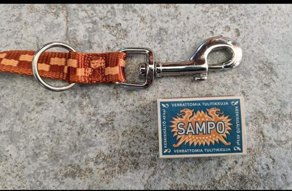 Koiran hihna, jatkotalutin Raasepori - photo 2