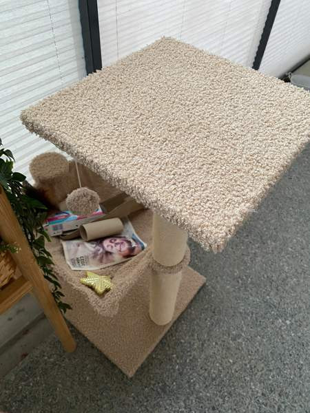 Kissan tarvikkeita Espoo - valokuva 1