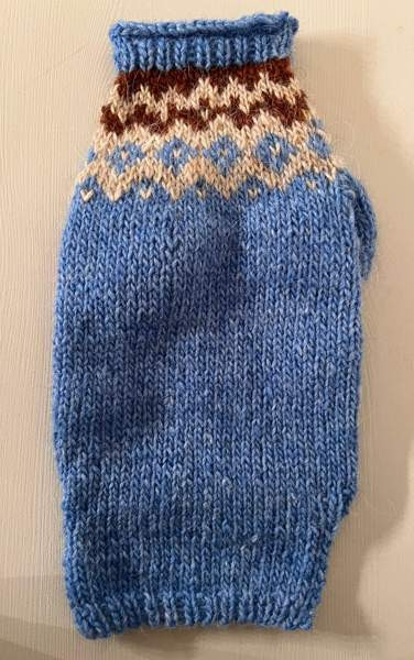 Pienen koiran neule Куопио - изображение 2