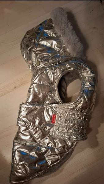 For my dogs koko 18 Helsinki - photo 1