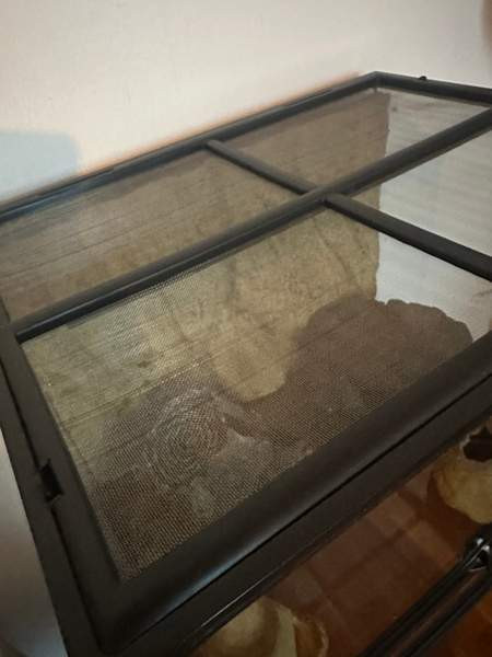 Terraario 45x45x60. Joensuu - photo 5