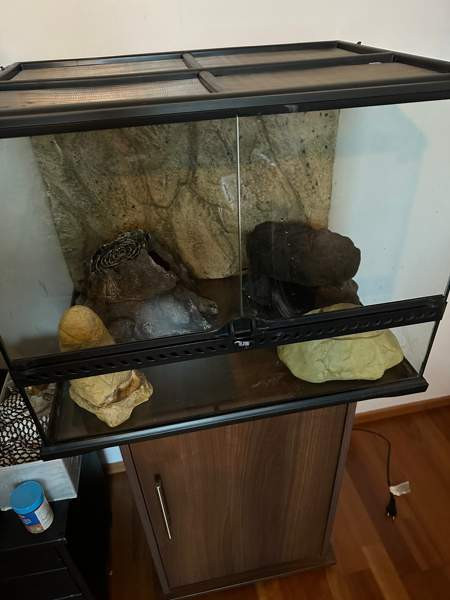 Terraario 45x45x60. Joensuu - photo 1