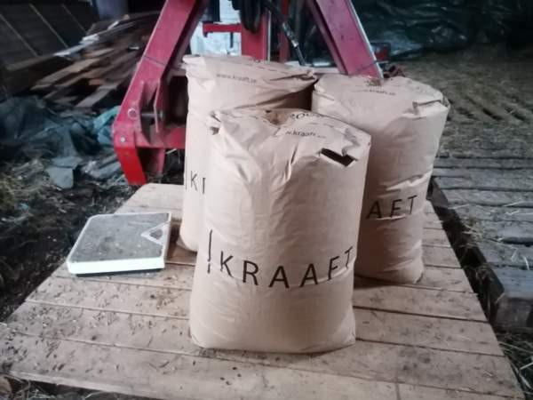 Kauraa 25kg säkissä kotitoimituksella Kokkola-Oulu alueelle Kalajoki - изображение 1