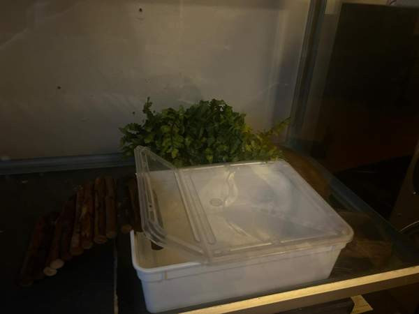 Terraario Vantaa – foto 2