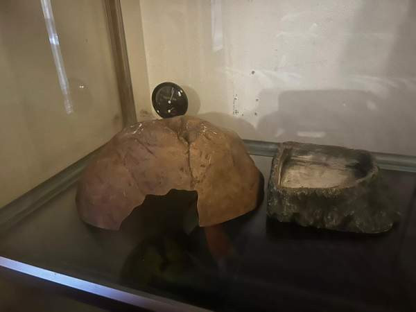 Terraario Vantaa – foto 3