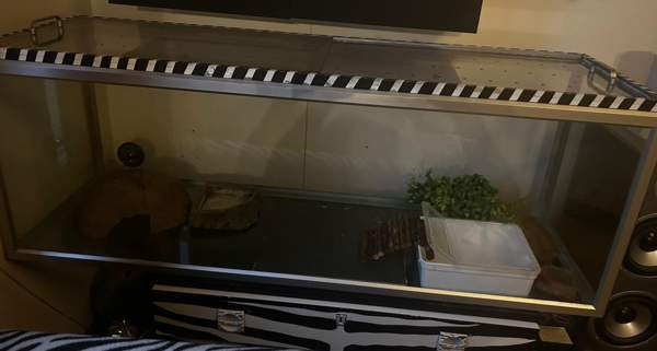 Terraario Vantaa – foto 1