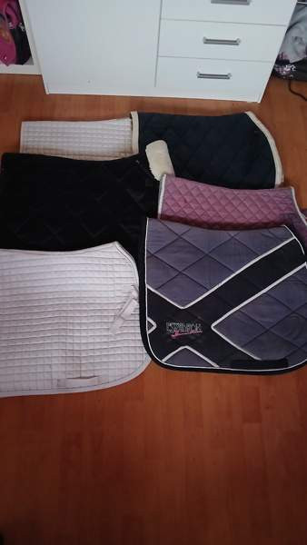 Paljon hevostavaraa Ristijärvi - photo 2