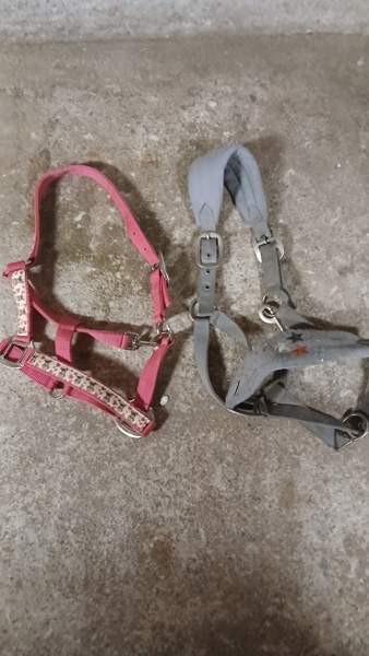 Paljon hevostavaraa Ristijärvi - photo 3