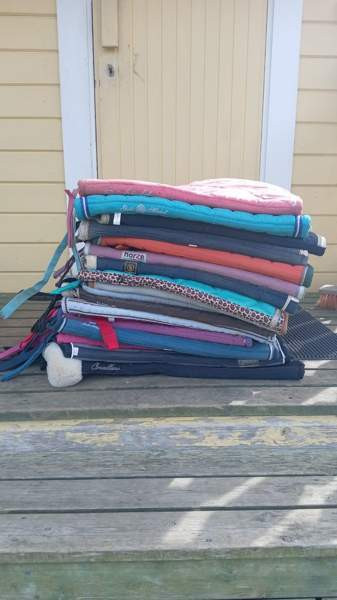 Paljon hevostavaraa Ristijärvi - photo 1